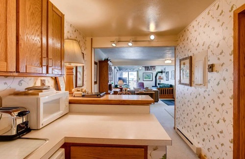 Crested Butte Apartamento | Cozy Slopeside Condo | Private Balcony & Fireplace