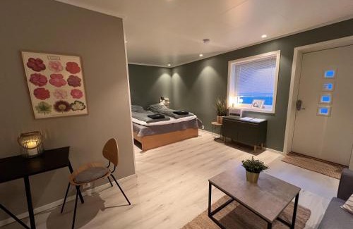 Bodo Apartamento | Cozy studio - 3 Guests - Free Parking - Close To harbour