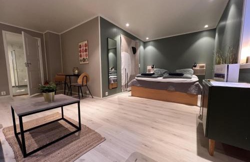 Bodo Apartamento | Cozy studio - 3 Guests - Free Parking - Close To harbour