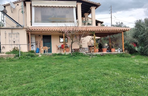 Raches Apartamento | Cozy studio apartment in the middle of a large garden. Have dogs.
