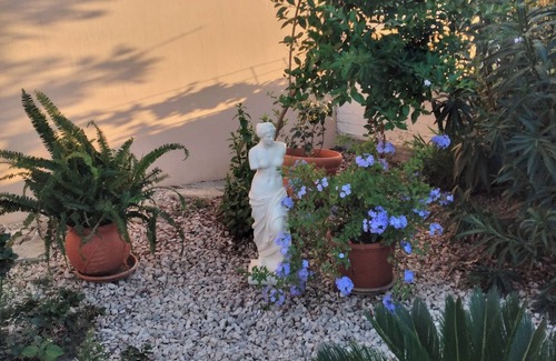 Raches Apartamento | Cozy studio apartment in the middle of a large garden. Have dogs.