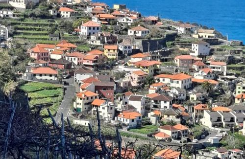 Porto Moniz Apartamento | Cozy Studio - Chalé Seixal