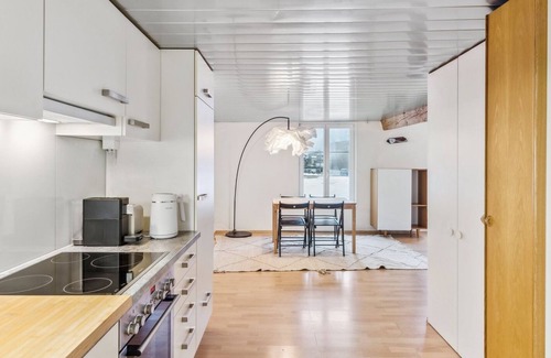 Dietikon District Apartamento | Cozy Studio Charm Sum