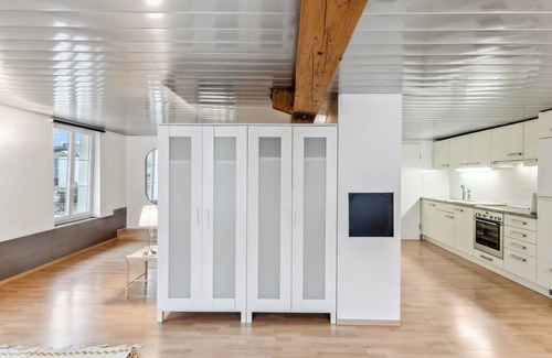 Dietikon District Apartamento | Cozy Studio Charm Sum