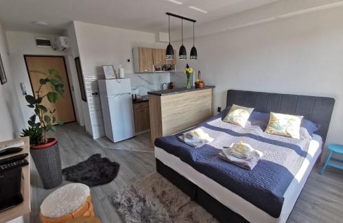 Doboj Apartamento | Cozy studio Cik-Cak
