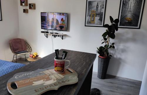 Doboj Apartamento | Cozy studio Cik-Cak