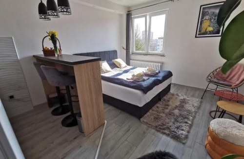 Doboj Apartamento | Cozy studio Cik-Cak