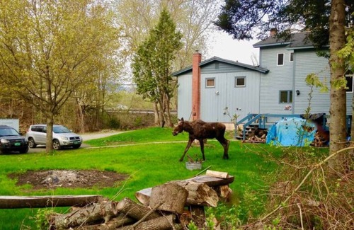 Stowe Apartamento | Cozy studio conveniently located in Stowe