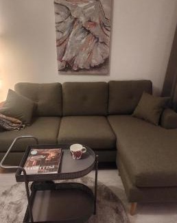 Tuusula Apartamento | Cozy studio in South Tuusula near airport