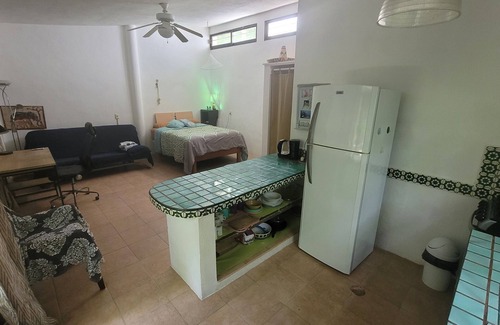 Xpu-Ha Apartamento | Acogedor estudio en la jungla!