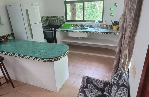 Xpu-Ha Apartamento | Acogedor estudio en la jungla!