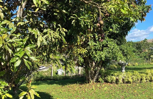 Darliston Cabaña | Jamaica vacation on Southcoast surrounded by Mountains and nature