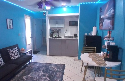 Lutz Apartamento | Cozy studio with WiFi and AC and in lovely Lutz! its family and pet friendly.