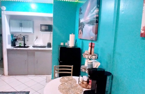 Lutz Apartamento | Cozy studio with WiFi and AC and in lovely Lutz! its family and pet friendly.