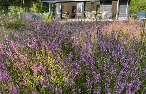 Nykobing Sjaelland Casa | Cozy Summer House In Peaceful Nature Near Rørvig