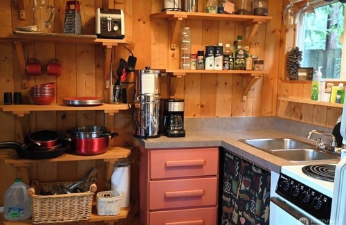 Gold Bar Cabina | Cozy Tiny Cabin with RIVER VIEWS! Sleeps 3, hot tub, wood stove, fire pit!