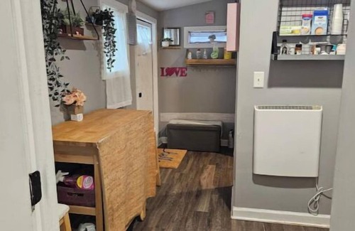 Elmore Park Cabina | Cozy tiny home in enchanting Memphis with AC, WiFi on an acre of land very quiet