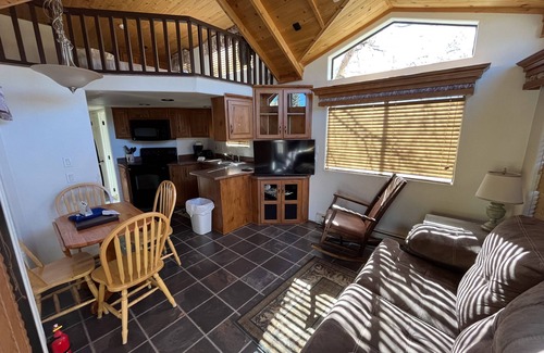Almont Cabina | Cozy "Tiny Home" style Cabin Perfect for Couples and Families
