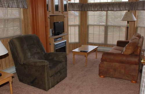 Almont Cabina | Cozy "Tiny Home" style Cabin Perfect for Couples and Families