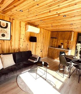 Matsloot Casa | Cozy Tiny House bij het Leekstermeer