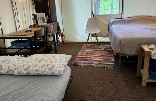 Grandview Otro | Cozy Treehouse Tent with Forest Trails near Waterfalls in Cumberland Plateau, TN