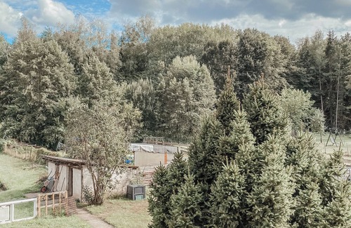 Erlenbach bei Dahn Apartamento | Cozy vacation apartment in the Dahner Felsenland. Perfect for hiking!