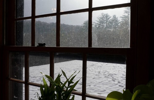 East Randolph Cabina | Cozy Vermont Log Cabin . Wilderness,Pet Friendly!