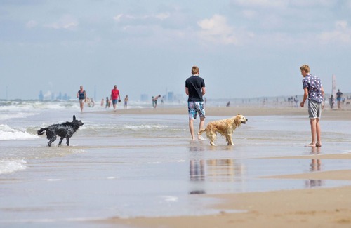 Municipality of Noordwijk Villa | Cozy villa with sun shower and sauna