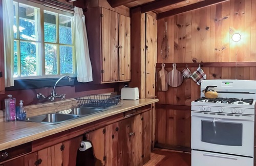 Middletown Cabina | Cozy vintage cabin with fireplace near hot spring