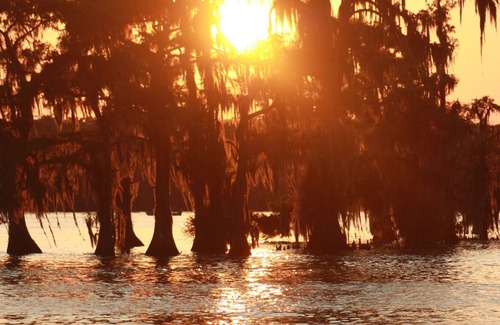 Pierre Part Apartamento | Cozy waterfront studio apartment with a covered deck on Bayou Pierre Part.