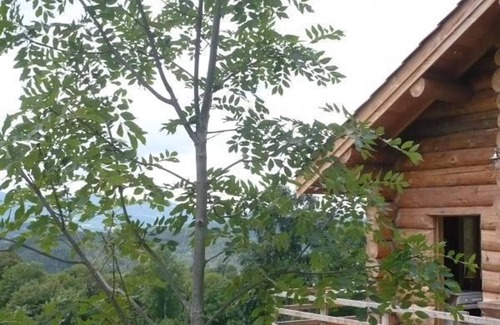 Saint-Martin-la-Sauvete Cabaña | Acogedor chalet de madera con estufa y internet en Saint-Martin-la-Sauveté