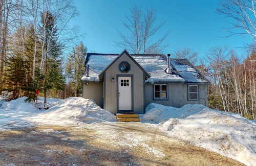 Greenville Cabina | Renovated Cabin w/ a Deck, Firepit, Gas Grill, Free WiFi, & Full Kitchen