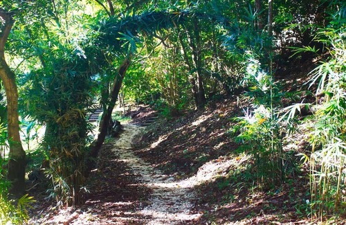 San Juanillo Apartamento | Cozy Yogic Jungle Casita Close to Ocean