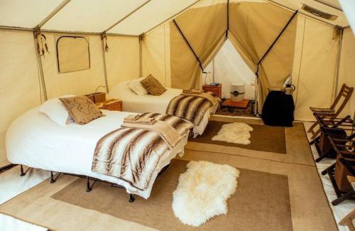 Clarkston Otro | COZYYTENT