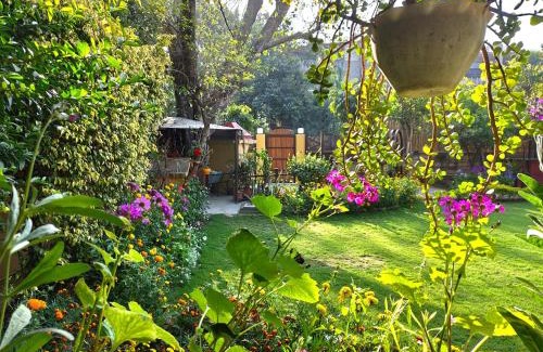 New Delhi Cama Y Desayuno | Cp Villa - Rooms with Patio