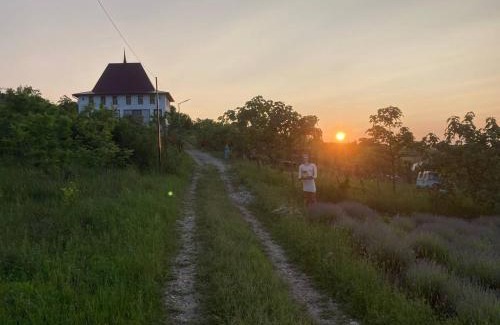 Moldova Hotel | Crama Diaconu