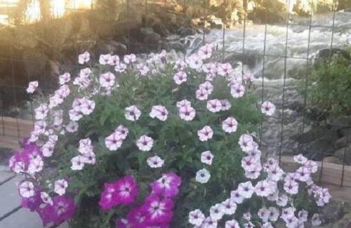 Cedaredge Cama Y Desayuno | Creek Side Bed and Breakfast