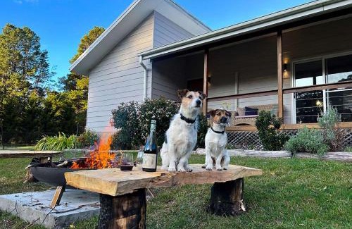 Fitzroy Falls Casa | Creek View Cottage, Fitzroy Falls