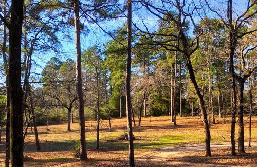 Crockett Casa | ¡Una cabaña cómoda en el bosque junto a un lago!