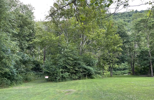 Hillsgrove Cabina | Creekside Cabin on Loyalsock Creek