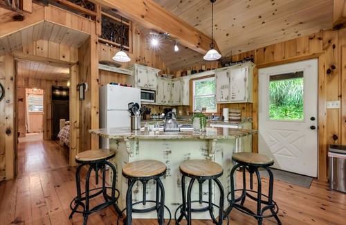 Blue Ridge Cabina | Creekside Cabin, Waterfront/Hot Tub/Pet-Friendly