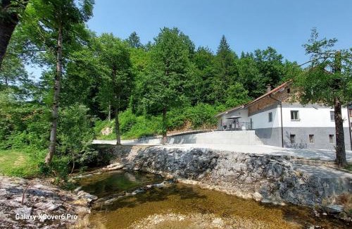 Dane Casa | Creekside House with pool