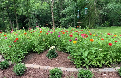 Drexel Cabina | CREEKSIDE ~ Lower Level/Separate Entrance, Peaceful Retreat, Trails & Fire Pit