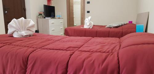 Alba Casa | Cristallo Camere