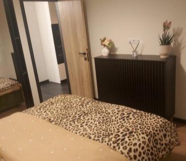 Rasnov Apartamento | Cristina Apartment