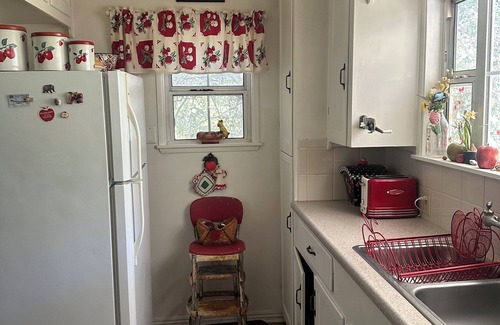 Julian Cabaña | Cristine's Cozy Cottage in the Woods - Close to Town and Pet Friendly!
