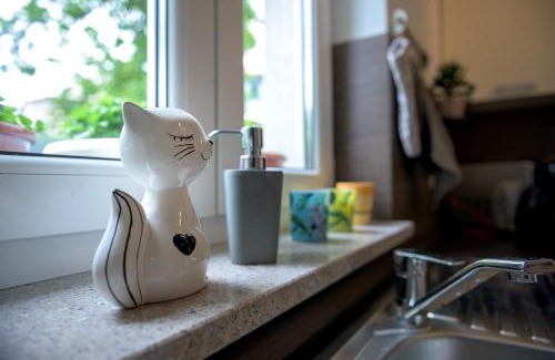Sarsoni Apartamento | Crni mačak
