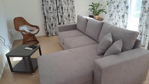 Sarsoni Apartamento | Crni mačak