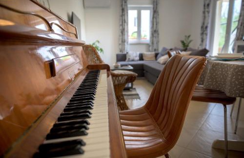 Sarsoni Apartamento | Crni mačak
