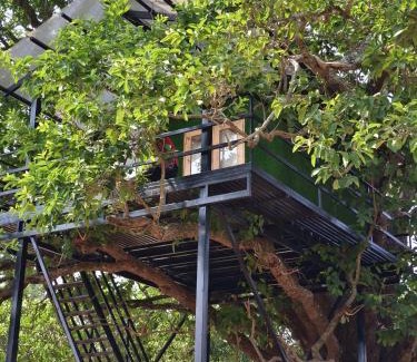 Yelagiri Otro | Croft Yelagiri - glamping stay